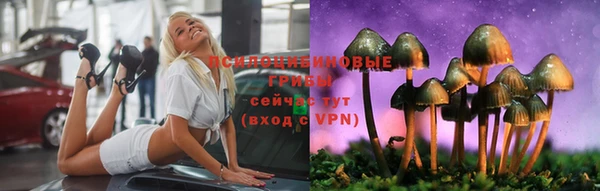 прущие крисы Алзамай