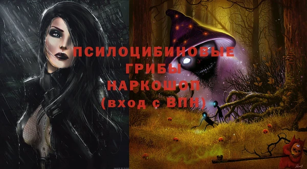 стафф Осташков