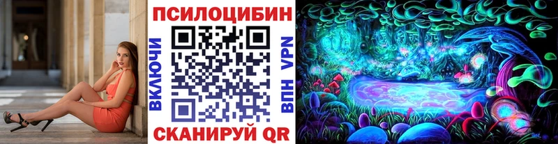 Псилоцибиновые грибы Cubensis  продажа наркотиков  Сенгилей 