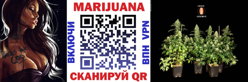 Бошки марихуана SATIVA & INDICA  что такое   Сенгилей 